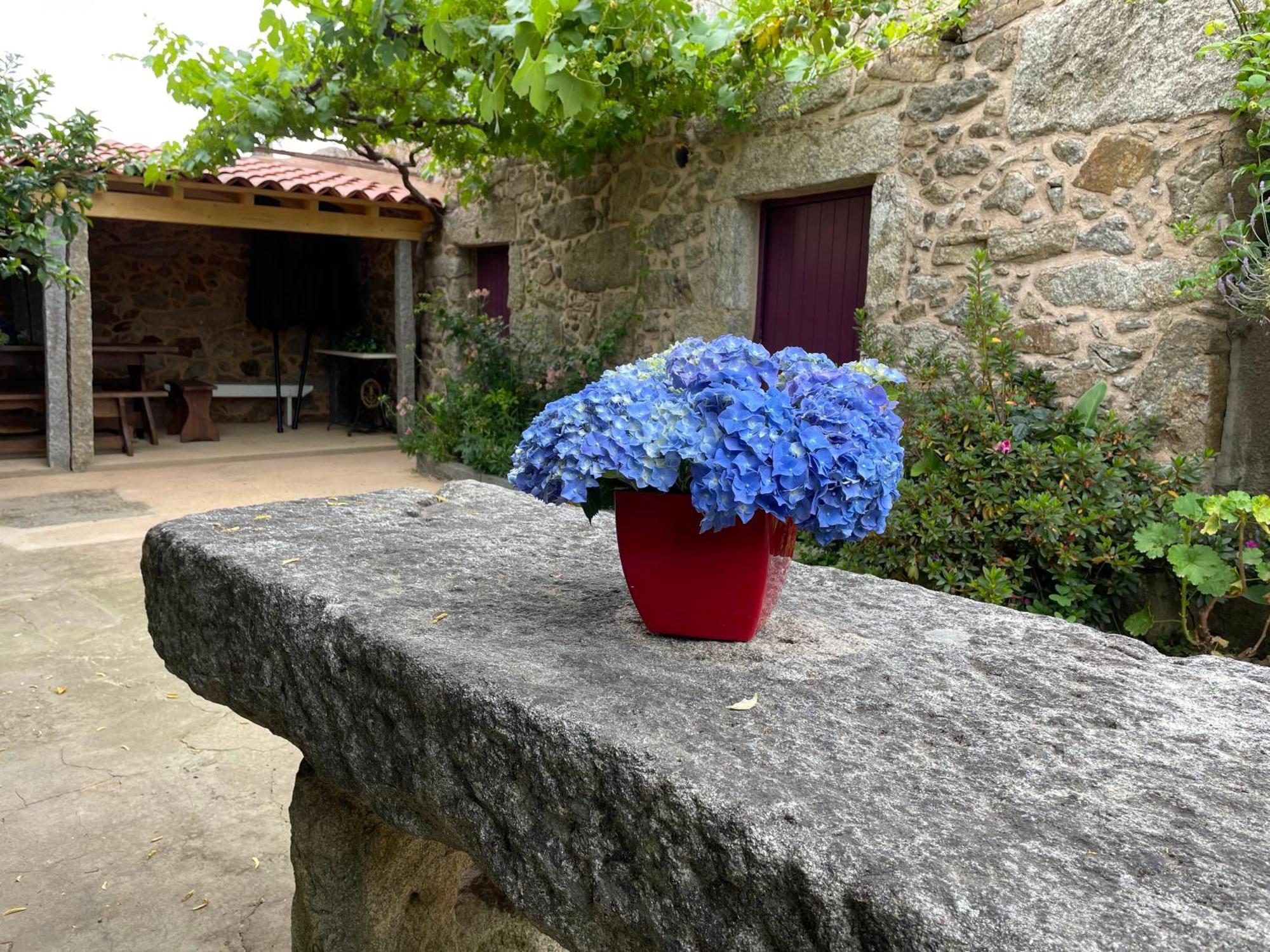 Casa Velha-Santiagofamilyhouse Villa Sever do Vouga Buitenkant foto